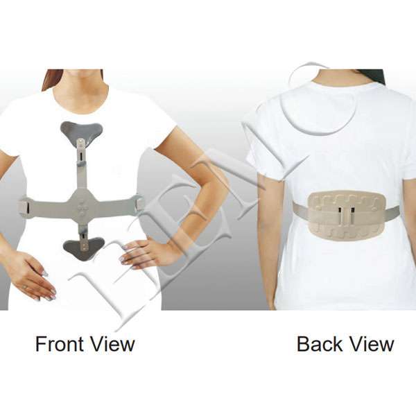 ASH BRACE